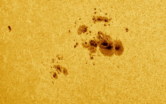 Imagen para el artículo titulado Cúmulo inusualmente grande de manchas solares ahora visible, lo que representa un riesgo de poderosas erupciones solares